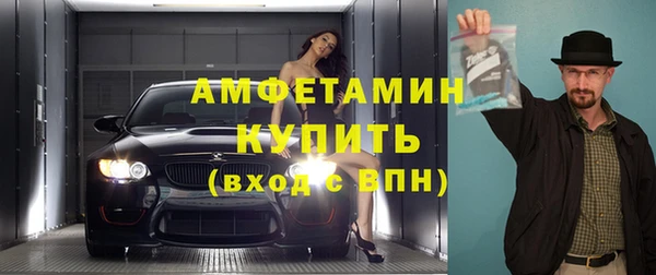 трава Тавда