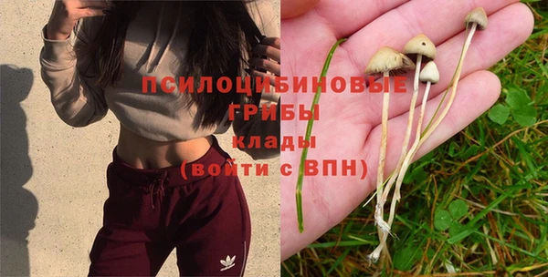 таблы Михайловск