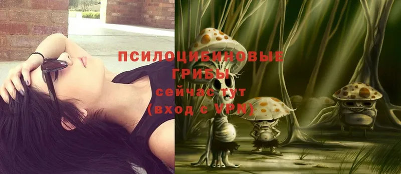 хочу   мега ссылка  Псилоцибиновые грибы Psilocybe  Нефтекамск 