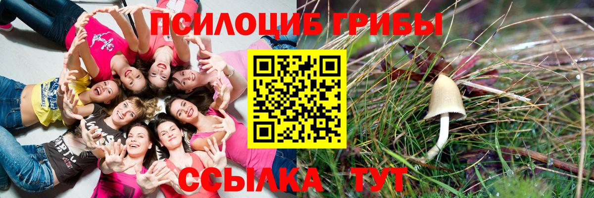 Нефтекамск  где найти наркотики  Вход с VPN  Галлюциногенные грибы мицелий 
